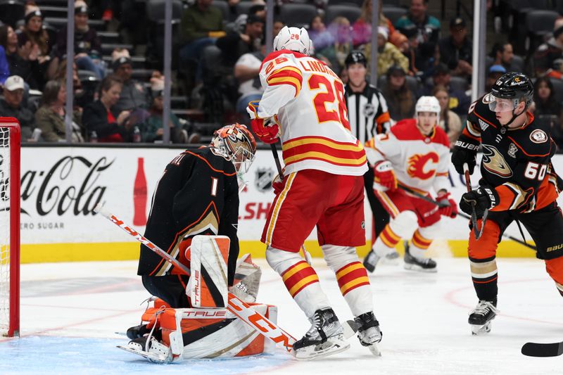 Dec 21, 2023; Anaheim, California, USA;  Anaheim Ducks goaltender Lukas Dostal (1) defends the goal against Calgary Flames center Elias Lindholm (28) during the third period at Honda Center. Mandatory Credit: Kiyoshi Mio-USA TODAY Sports