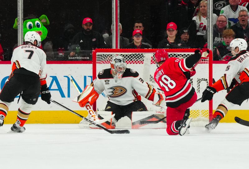 Jan 11, 2024; Raleigh, North Carolina, USA; Carolina Hurricanes center Jack Drury (18) scores a goal past Anaheim Ducks goaltender John Gibson (36) during the second period at PNC Arena. Mandatory Credit: James Guillory-USA TODAY Sports