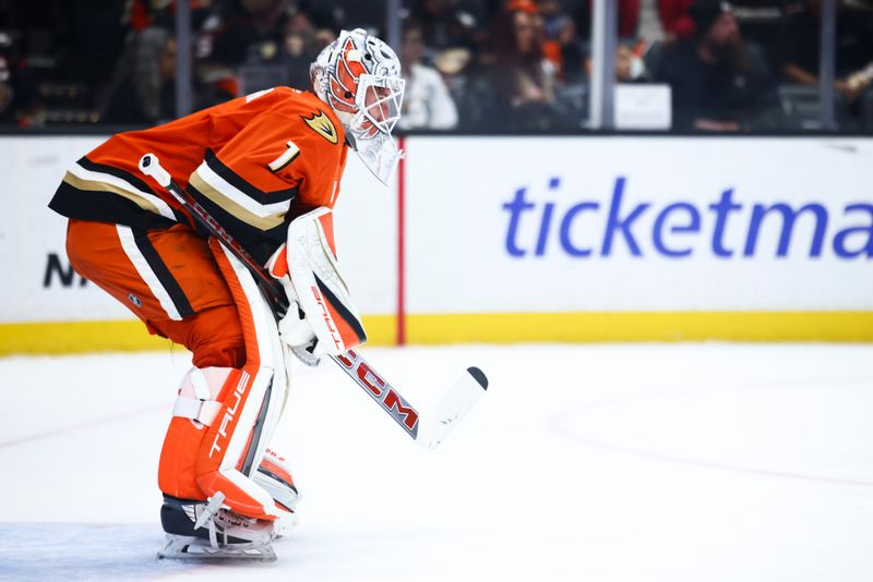 Nov 13, 2024; Anaheim, California, USA; Anaheim Ducks goaltender Lukas Dostal (1) looks on during the first period of a hockey game against the Vegas Golden Knights at Honda Center. Mandatory Credit: Jessica Alcheh-Imagn Images