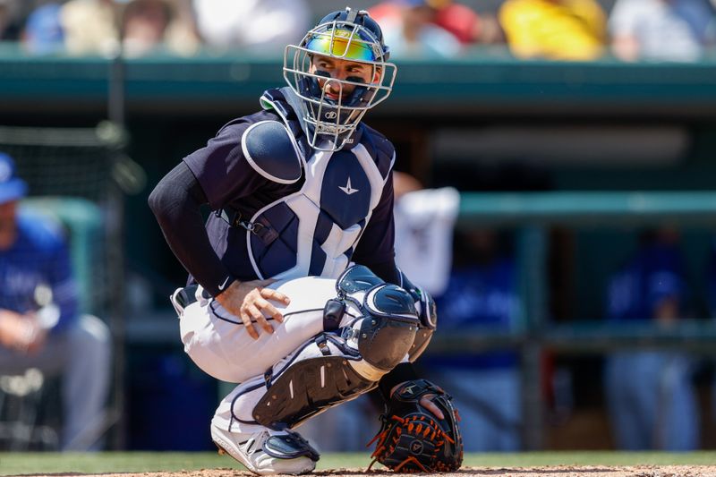 Mar 21, 2022; Lakeland, Florida, USA; Detroit Tigers catcher Eric Haase (13) looks on in the fourth inning against the Toronto Blue Jays during spring training at Publix Field at Joker Marchant Stadium. Mandatory Credit: Nathan Ray Seebeck-USA TODAY Sports