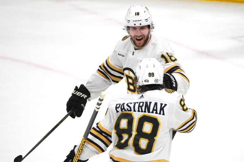 Mar 26, 2024; Sunrise, Florida, USA; Boston Bruins center Pavel Zacha (18) celebrates his goal with right wing David Pastrnak (88) against the Florida Panthers during the third period at Amerant Bank Arena. Mandatory Credit: Jim Rassol-USA TODAY Sports