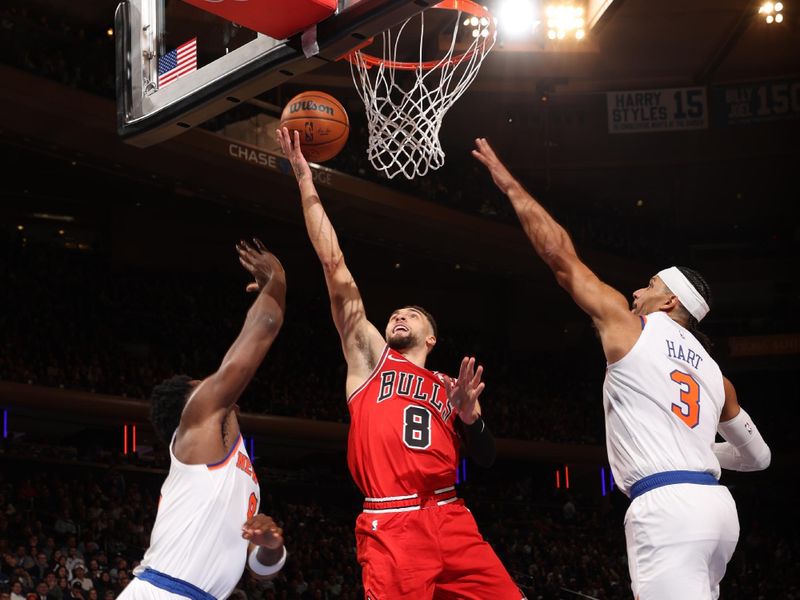 NEW YORK, NY - NOVEMBER 13: Zach LaVine #8 of the Chicago Bulls drives to the basket during the game against the New York Knicks on November 13, 2024 at Madison Square Garden in New York City, New York.  NOTE TO USER: User expressly acknowledges and agrees that, by downloading and or using this photograph, User is consenting to the terms and conditions of the Getty Images License Agreement. Mandatory Copyright Notice: Copyright 2024 NBAE  (Photo by Joe Murphy/NBAE via Getty Images)