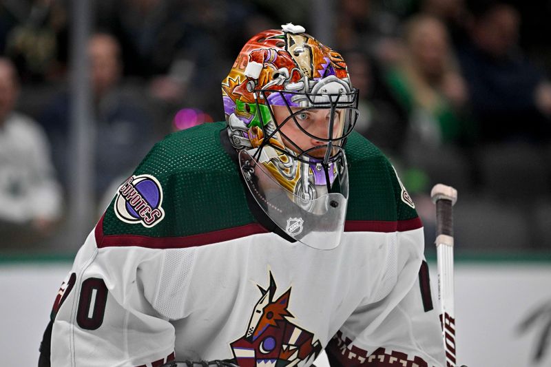 Nov 14, 2023; Dallas, Texas, USA; Arizona Coyotes goaltender Karel Vejmelka (70) faces the Dallas Stars attack during the second period at the American Airlines Center. Mandatory Credit: Jerome Miron-USA TODAY Sports