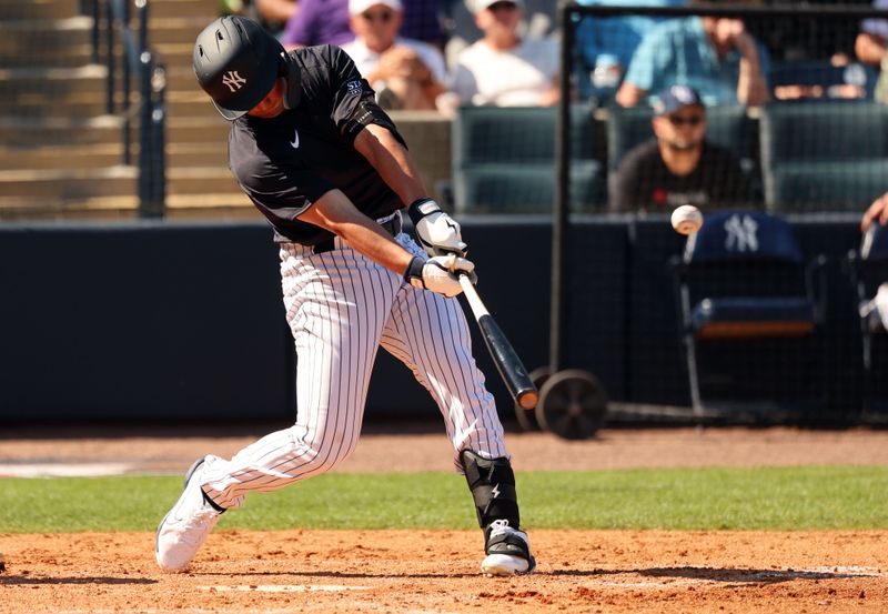 Feb 26, 2024; Tampa, Florida, USA; New York Yankees outfielder Jace Avina (33) hits a RBI double during the fifth inning against the Minnesota Twins  at George M. Steinbrenner Field. Mandatory Credit: Kim Klement Neitzel-USA TODAY Sports