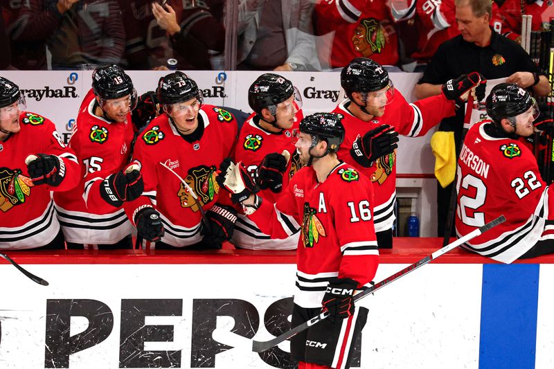 Nov 19, 2024; Chicago, Illinois, USA; Chicago Blackhawks center Jason Dickinson (16) celebrates with teammates after scoring a goal against the Anaheim Ducks during the second period at United Center. Mandatory Credit: Kamil Krzaczynski-Imagn Images