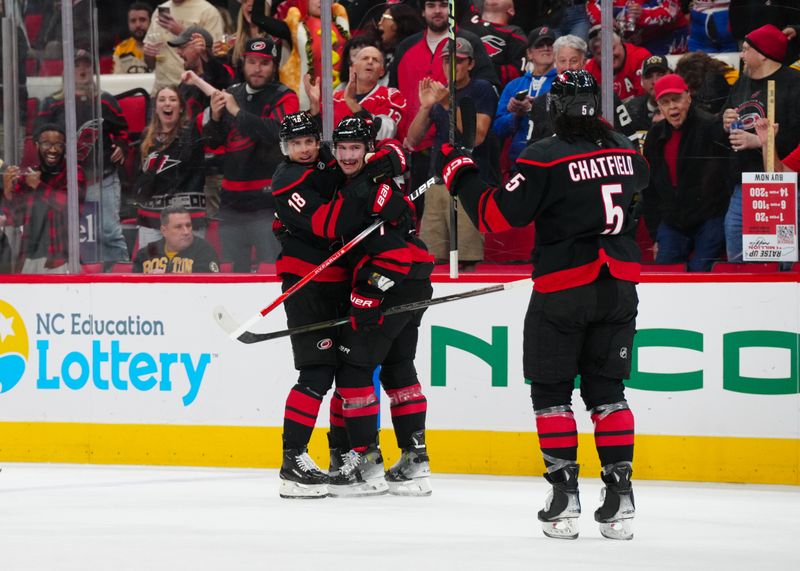 Oct 31, 2024; Raleigh, North Carolina, USA;  Carolina Hurricanes defenseman Dmitry Orlov (7) is congratulated by Carolina Hurricanes center Jack Drury (18) after his goal against the Boston Bruins during the first period at Lenovo Center. Mandatory Credit: James Guillory-Imagn Images