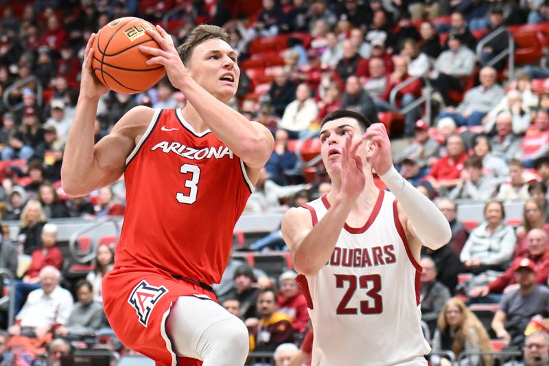 Jan 13, 2024; Pullman, Washington, USA; Arizona Wildcats guard Pelle Larsson (3) is defended by Washington State Cougars forward Andrej Jakimovski (23) in the first half at Friel Court at Beasley Coliseum. Mandatory Credit: James Snook-USA TODAY Sports