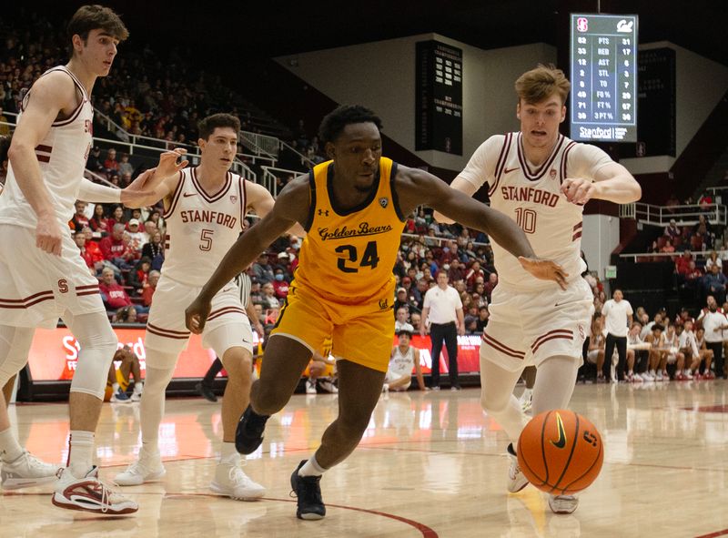 Jan 28, 2023; Stanford, California, USA; California Golden Bears forward Sam Alajiki (24) and Stanford Cardinal forward Max Murrell (10) vie for a loose ball during the second half at Maples Pavilion. Stanford defeated California 75-46. Mandatory Credit: D. Ross Cameron-USA TODAY Sports