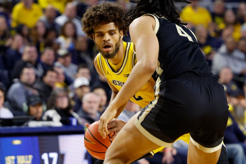 Feb 25, 2024; Ann Arbor, Michigan, USA;  Michigan Wolverines forward Tray Jackson (2) dribbles against Purdue Boilermakers forward Trey Kaufman-Renn (4) in the first half at Crisler Center. Mandatory Credit: Rick Osentoski-USA TODAY Sports