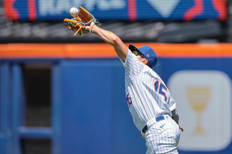 Jul 11, 2024; New York City, New York, USA; New York Mets right fielder Tyrone Taylor (15) makes a catch for an out during the first inning against the Washington Nationals at Citi Field. Mandatory Credit: Vincent Carchietta-USA TODAY Sports