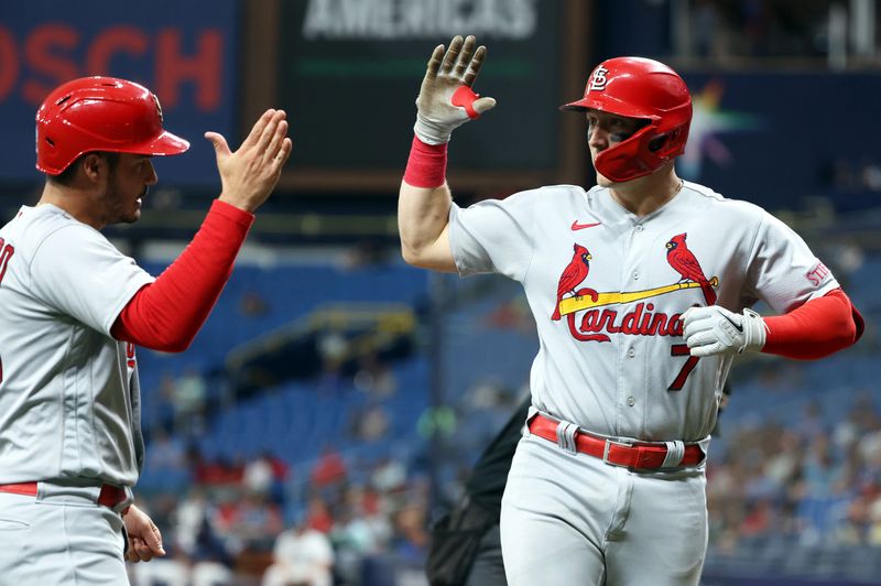 Aug 10, 2023; St. Petersburg, Florida, USA;  St. Louis Cardinals catcher Andrew Knizner (7) is congratulated by designated hitter Nolan Arenado (28) after he hit a 2-run home run against the Tampa Bay Rays during the fourth inning  at Tropicana Field. Mandatory Credit: Kim Klement Neitzel-USA TODAY Sports