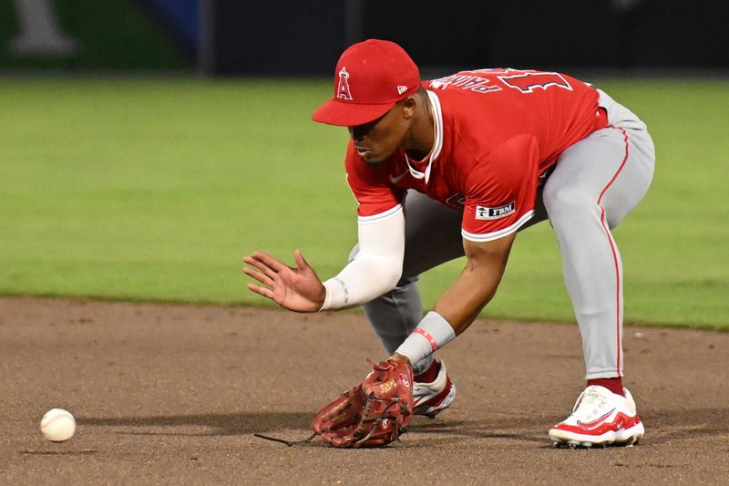 Apr 8, 2025; Anaheim, California, USA; Los Angeles Angels second baseman Kyren Paris (19) fields a ground ball in the fifth inning against the Tampa Bay Rays  at George M. Steinbrenner Field. Mandatory Credit: Jonathan Dyer-Imagn Images