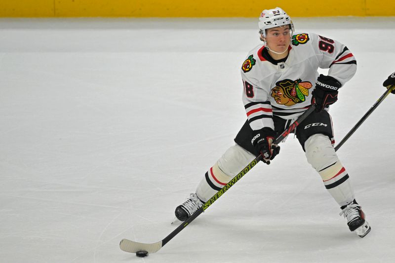 Nov 3, 2024; Anaheim, California, USA;  Chicago Blackhawks center Connor Bedard (98) handles the puck in the first period against the Anaheim Ducks at Honda Center. Mandatory Credit: Jayne Kamin-Oncea-Imagn Images