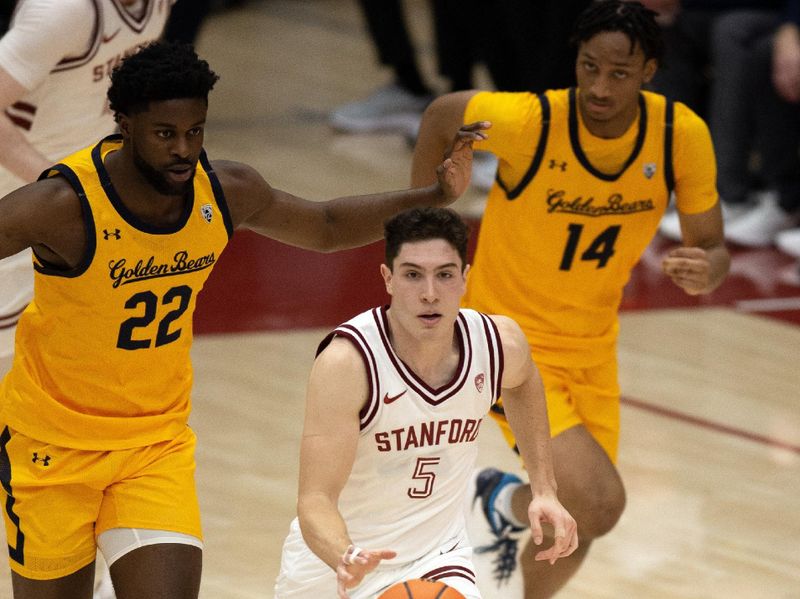 Jan 28, 2023; Stanford, California, USA; Stanford Cardinal guard Michael O'Connell (5) brings the ball up court ahead of California Golden Bears forwards ND Okafor (22) and Grant Newell (14) during the second half at Maples Pavilion. Stanford defeated California 75-46. Mandatory Credit: D. Ross Cameron-USA TODAY Sports