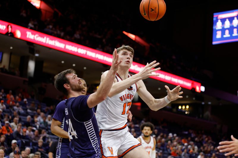 Nov 28, 2025; Charlottesville, Virginia, USA; Virginia Cavaliers center Johann Grunloh (17) battles for the ball with Queens University of Charlotte Royals guard Yoav Berman (24) during the second half at John Paul Jones Arena. Mandatory Credit: Amber Searls-Imagn Images