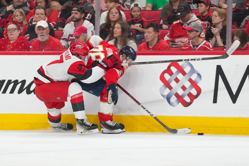 Sep 24, 2025; Raleigh, North Carolina, USA;  Carolina Hurricanes defenseman Aleksi Heimosalmi (47) and battle over the puck during the second period at Lenovo Center. Mandatory Credit: James Guillory-Imagn Images