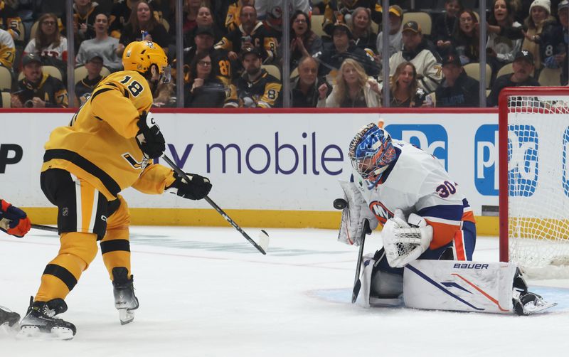 Oct 9, 2025; Pittsburgh, Pennsylvania, USA;  New York Islanders goaltender Ilya Sorokin (30) makes a save against Pittsburgh Penguins center Tommy Novak (18) during the third period at PPG Paints Arena. Mandatory Credit: Charles LeClaire-Imagn Images
