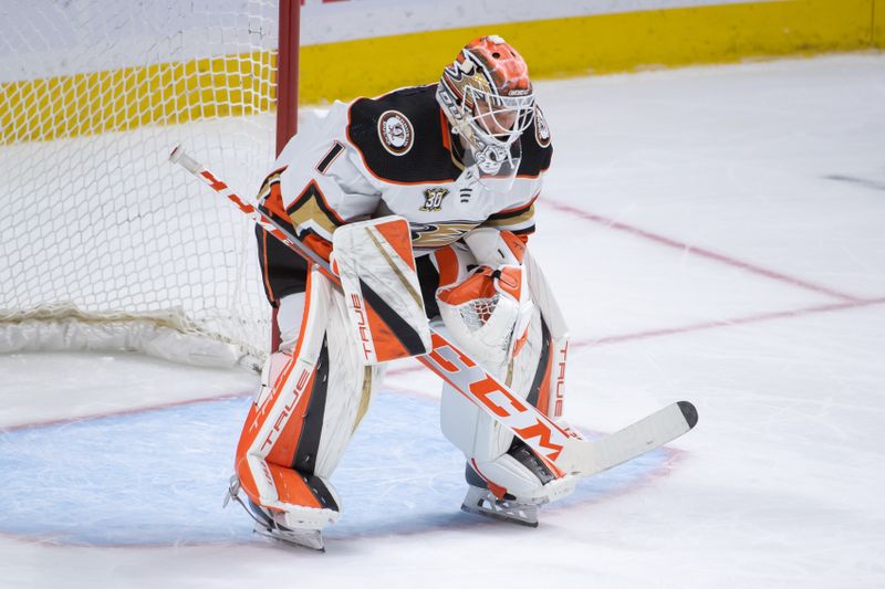 Feb 15, 2024; Ottawa, Ontario, CAN; Anaheim Ducks goalie Lukas Dostal (1) is brought in for the third period against the Ottawa Senators at the Canadian Tire Centre. Mandatory Credit: Marc DesRosiers-USA TODAY Sports