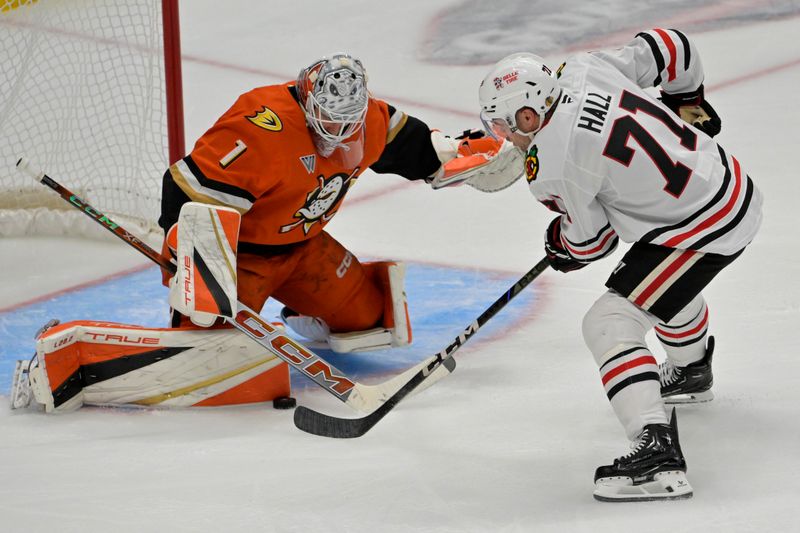 Nov 3, 2024; Anaheim, California, USA;  Anaheim Ducks goaltender Lukas Dostal (1) blocks a shot by Chicago Blackhawks left wing Taylor Hall (71) in the third period at Honda Center. Mandatory Credit: Jayne Kamin-Oncea-Imagn Images