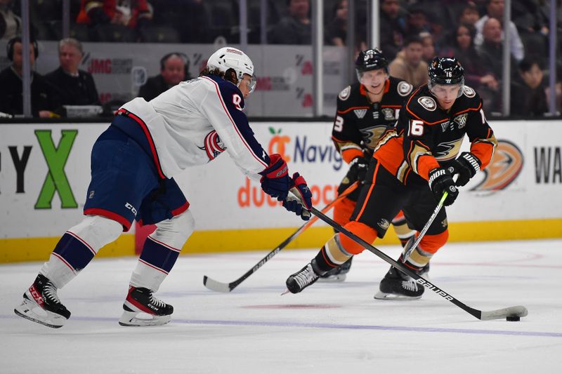 Feb 21, 2024; Anaheim, California, USA; Columbus Blue Jackets defenseman Ivan Provorov (9) plays for the puck against Anaheim Ducks center Ryan Strome (16) during the first period at Honda Center. Mandatory Credit: Gary A. Vasquez-USA TODAY Sports