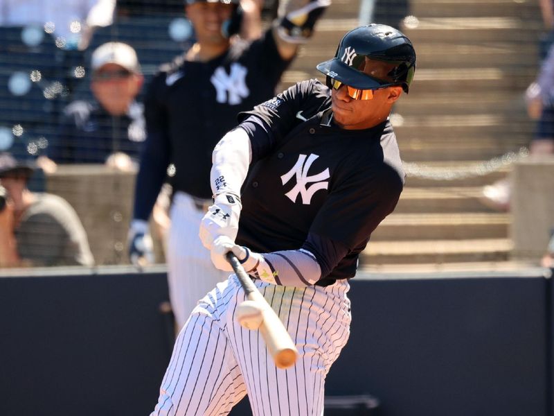 Feb 26, 2024; Tampa, Florida, USA; New York Yankees left fielder Juan Soto (22) hits a 2-RBI double  during the third inning against the Minnesota Twins at George M. Steinbrenner Field. Mandatory Credit: Kim Klement Neitzel-USA TODAY Sports