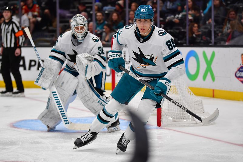 Jan 31, 2024; Anaheim, California, USA; San Jose Sharks defenseman Shakir Mukhamadullin (85) in action against the Anaheim Ducks during the second period at Honda Center. Mandatory Credit: Gary A. Vasquez-USA TODAY Sports