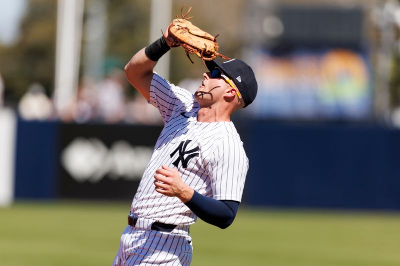 Feb 21, 2026; Tampa, Florida, USA; New York Yankees infielder Seth Brown (26) catches a fly ball against the Detroit Tigers during the first inning in a Spring Training game at George M. Steinbrenner Field. Mandatory Credit: Morgan Tencza-Imagn Images