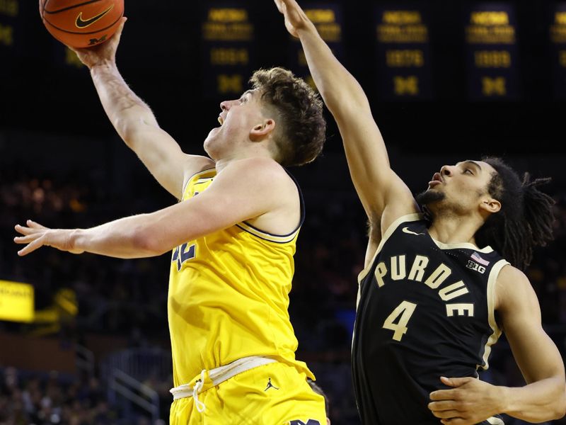 Feb 25, 2024; Ann Arbor, Michigan, USA;  Michigan Wolverines forward Will Tschetter (42) shoots on Purdue Boilermakers forward Trey Kaufman-Renn (4) in the first half at Crisler Center. Mandatory Credit: Rick Osentoski-USA TODAY Sports