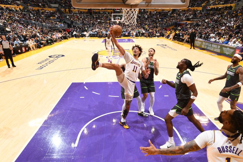 LOS ANGELES, CA - APRIL 7: Jaxson Hayes #11 of the Los Angeles Lakers rebounds the ball during the game against the Minnesota Timberwolves on April 7, 2024 at Crypto.Com Arena in Los Angeles, California. NOTE TO USER: User expressly acknowledges and agrees that, by downloading and/or using this Photograph, user is consenting to the terms and conditions of the Getty Images License Agreement. Mandatory Copyright Notice: Copyright 2024 NBAE (Photo by Juan Ocampo/NBAE via Getty Images)