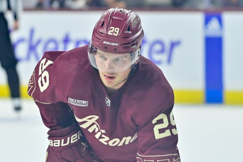 Mar 7, 2024; Tempe, Arizona, USA; Arizona Coyotes center Barrett Hayton (29) looks on in the second period against the Minnesota Wild at Mullett Arena. Mandatory Credit: Matt Kartozian-USA TODAY Sports