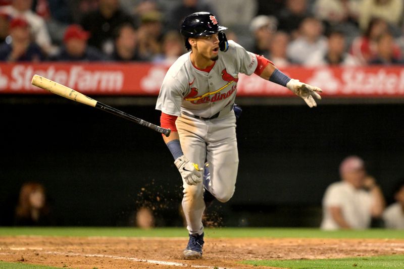 May 13, 2024; Anaheim, California, USA;   St. St. Louis Cardinals shortstop Masyn Winn (0) flips his bat on a two RBI single in the seventh inning against the Los Angeles Angels at Angel Stadium. Mandatory Credit: Jayne Kamin-Oncea-USA TODAY Sports