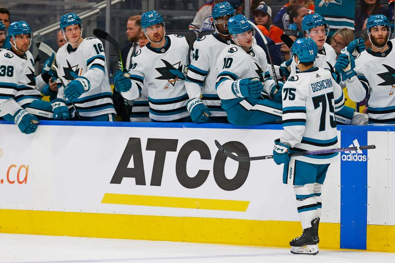 Apr 15, 2024; Edmonton, Alberta, CAN; The San Jose Sharks celebrate a goal scored by forward Danil Gushchin (75) during the second period against the Edmonton Oilers at Rogers Place. Mandatory Credit: Perry Nelson-USA TODAY Sports