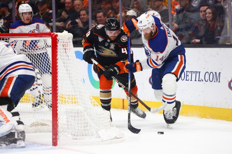 Feb 9, 2024; Anaheim, California, USA; Anaheim Ducks left wing Max Jones (49) and Edmonton Oilers defenseman Mattias Ekholm (14) fight for the puck during the second period of a game at Honda Center. Mandatory Credit: Jessica Alcheh-USA TODAY Sports