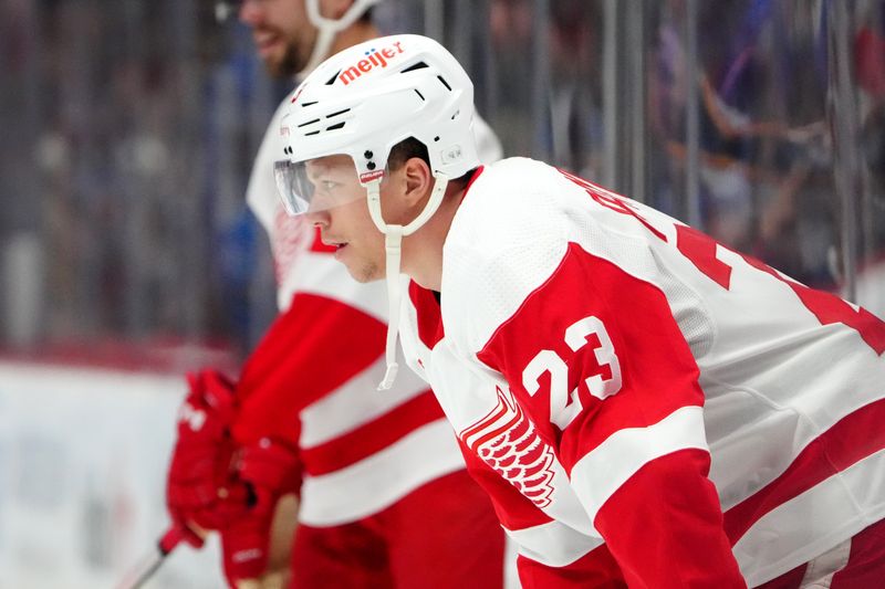 Mar 6, 2024; Denver, Colorado, USA; Detroit Red Wings left wing Lucas Raymond (23) before the game against the Colorado Avalanche at Ball Arena. Mandatory Credit: Ron Chenoy-USA TODAY Sports