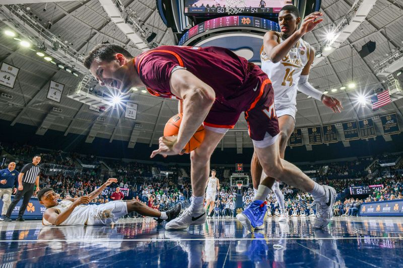 Feb 10, 2024; South Bend, Indiana, USA; Virginia Tech Hokies forward Robbie Beran (31) grabs a rebound in front of Notre Dame Fighting Irish forward Kebba Njie (14) in the second half at the Purcell Pavilion. Mandatory Credit: Matt Cashore-USA TODAY Sports