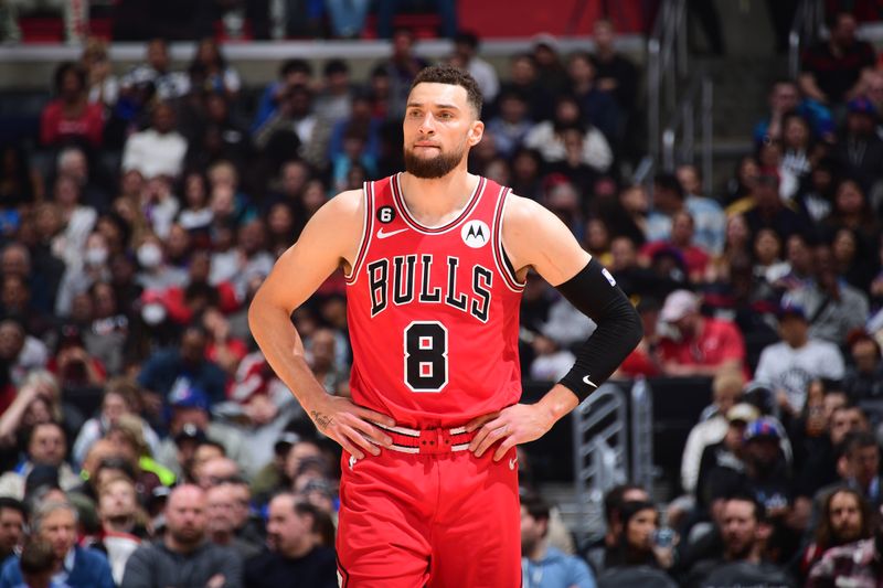 LOS ANGELES, CA - MARCH 27: Zach LaVine #8 of the Chicago Bulls looks on during the game against the LA Clippers on March 27, 2023 at Crypto.Com Arena in Los Angeles, California. NOTE TO USER: User expressly acknowledges and agrees that, by downloading and/or using this Photograph, user is consenting to the terms and conditions of the Getty Images License Agreement. Mandatory Copyright Notice: Copyright 2023 NBAE (Photo by Adam Pantozzi/NBAE via Getty Images)