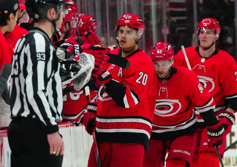 Dec 23, 2023; Raleigh, North Carolina, USA; Carolina Hurricanes center Sebastian Aho (20) celebrates his goal against the New York Islanders during the second period at PNC Arena. Mandatory Credit: James Guillory-USA TODAY Sports