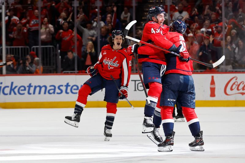 Nov 22, 2023; Washington, District of Columbia, USA; Washington Capitals center Dylan Strome (17) celebrates with Capitals right wing Tom Wilson (43) after scoring the game winning goal in overtime against the Buffalo Sabres at Capital One Arena. Mandatory Credit: Geoff Burke-USA TODAY Sports