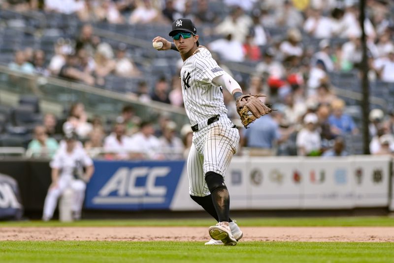 Jul 21, 2024; Bronx, New York, USA; New York Yankees third baseman Oswaldo Cabrera (95) fields a ground ball and throws to first base for an out against the Tampa Bay Rays during the ninth inning at Yankee Stadium. Mandatory Credit: John Jones-USA TODAY Sports