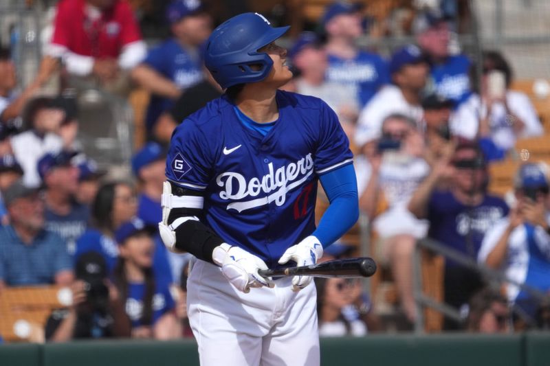 Feb 27, 2024; Phoenix, Arizona, USA; Los Angeles Dodgers designated hitter Shohei Ohtani (17) hits a two run home run during the fifth inning against the Chicago White Sox at Camelback Ranch-Glendale. Mandatory Credit: Joe Camporeale-USA TODAY Sports