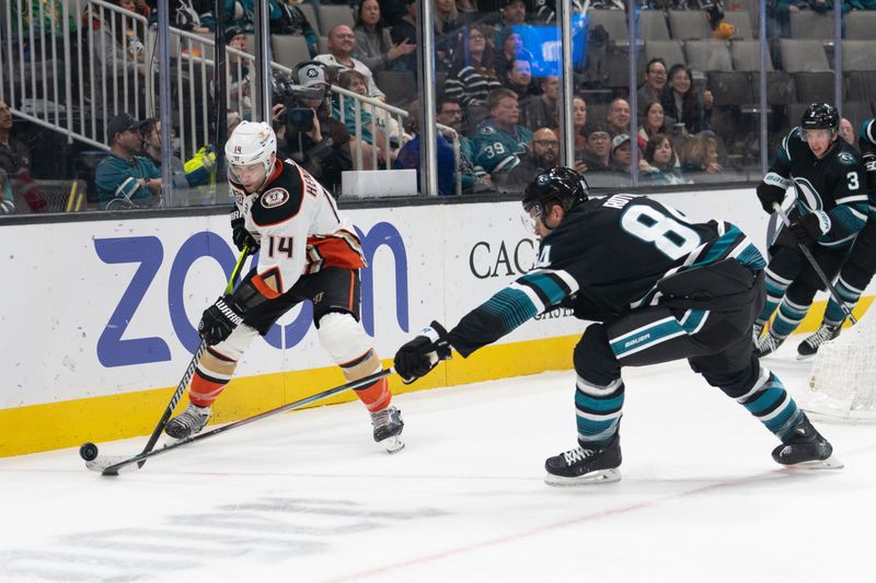 Feb 29, 2024; San Jose, California, USA; Anaheim Ducks center Adam Henrique (14) and San Jose Sharks defenseman Jan Rutta (84) fight for control of the puck during the first period at SAP Center at San Jose. Mandatory Credit: Stan Szeto-USA TODAY Sports