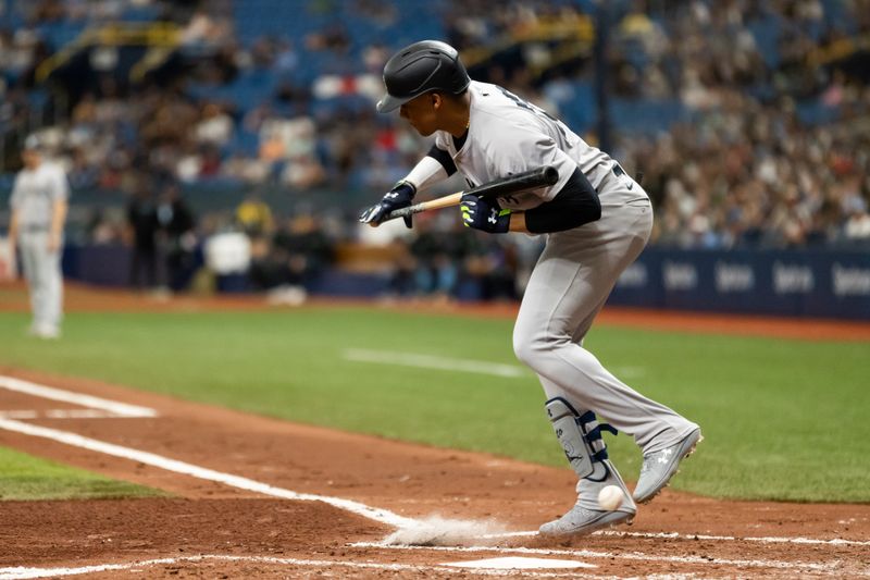 May 11, 2024; St. Petersburg, Florida, USA; New York Yankees outfielder Juan Soto (22) dodges a pitch against the Tampa Bay Rays during the third inning at Tropicana Field. Mandatory Credit: Matt Pendleton-USA TODAY Sports