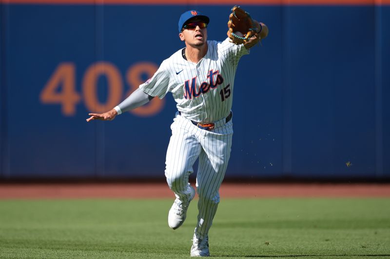 May 28, 2024; New York, NY, USA;  New York Mets right fielder Tyrone Taylor (15) makes a catch for an out during the third inning against the Los Angeles Dodgers at Citi Field. Mandatory Credit: Vincent Carchietta-USA TODAY Sports