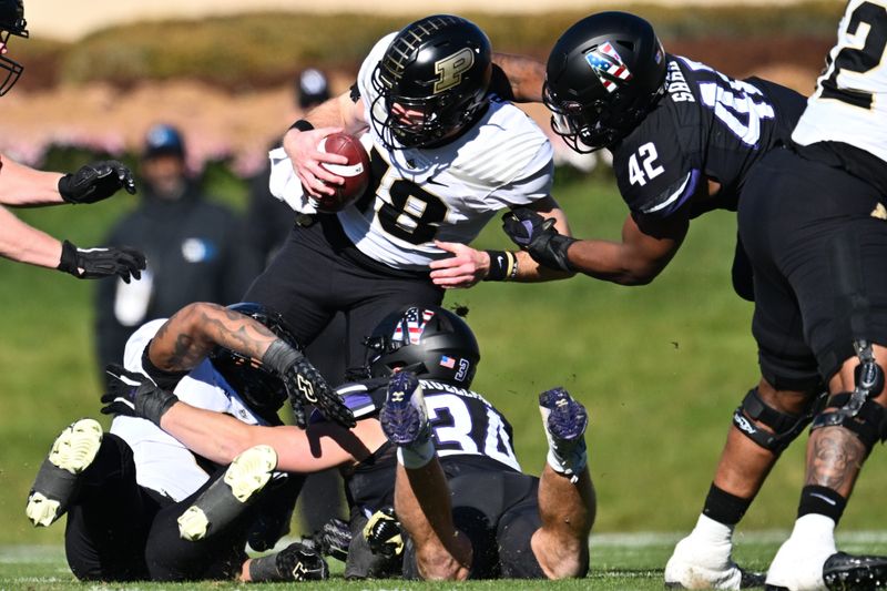 Nov 18, 2023; Evanston, Illinois, USA;  Purdue Boilermakers quarterback Bennett Meredith (18) is sacked by Northwestern Wildcats defensive lineman Anto Saka (42) in the first quarter at Ryan Field. Mandatory Credit: Jamie Sabau-USA TODAY Sports