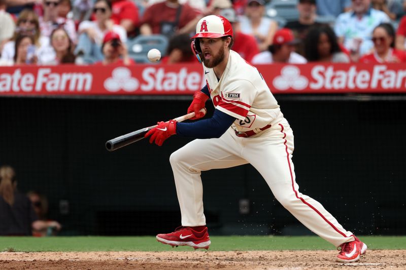 Sep 17, 2023; Anaheim, California, USA;  Los Angeles Angels right fielder Jared Walsh (20) bunts a ball during the MLB game against the Detroit Tigers at Angel Stadium. Mandatory Credit: Kiyoshi Mio-USA TODAY Sports