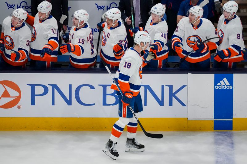 Apr 4, 2024; Columbus, Ohio, USA;  New York Islanders left wing Pierre Engvall (18) celebrates with teammates after scoring a goal against the Columbus Blue Jackets in the first period at Nationwide Arena. Mandatory Credit: Aaron Doster-USA TODAY Sports