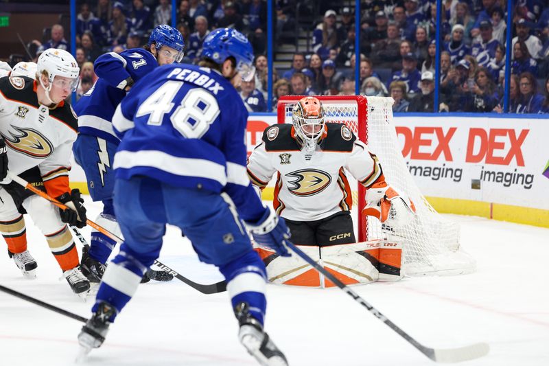 Jan 13, 2024; Tampa, Florida, USA;  Anaheim Ducks goaltender Lukas Dostal (1) looks to make a save against the Tampa Bay Lightning in the first period at Amalie Arena. Mandatory Credit: Nathan Ray Seebeck-USA TODAY Sports