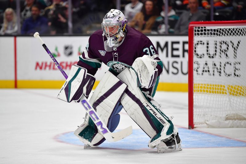 Nov 24, 2023; Anaheim, California, USA; Anaheim Ducks goaltender John Gibson (36) defends the goal against the Los Angeles Kings during the first period at Honda Center. Mandatory Credit: Gary A. Vasquez-USA TODAY Sports