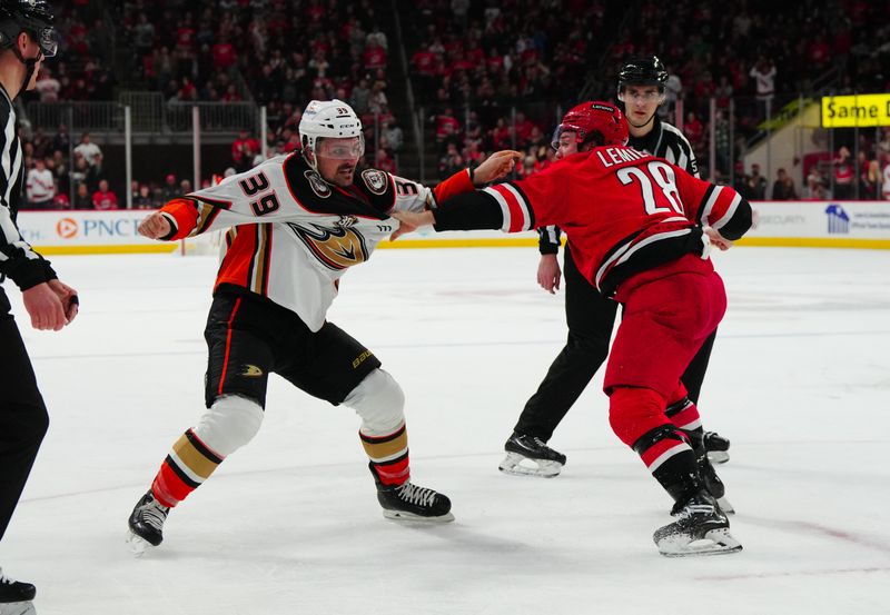 Jan 11, 2024; Raleigh, North Carolina, USA; Anaheim Ducks goaltender John Gibson (36) fights Carolina Hurricanes left wing Brendan Lemieux (28) during the second period at PNC Arena. Mandatory Credit: James Guillory-USA TODAY Sports