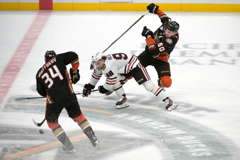 Mar 21, 2024; Anaheim, California, USA;  Anaheim Ducks defenseman Jackson LaCombe (60), defenseman Pavel Mintyukov (34) and Chicago Blackhawks center Connor Bedard (98) battle for the puck in the second period at Honda Center. Mandatory Credit: Jayne Kamin-Oncea-USA TODAY Sports